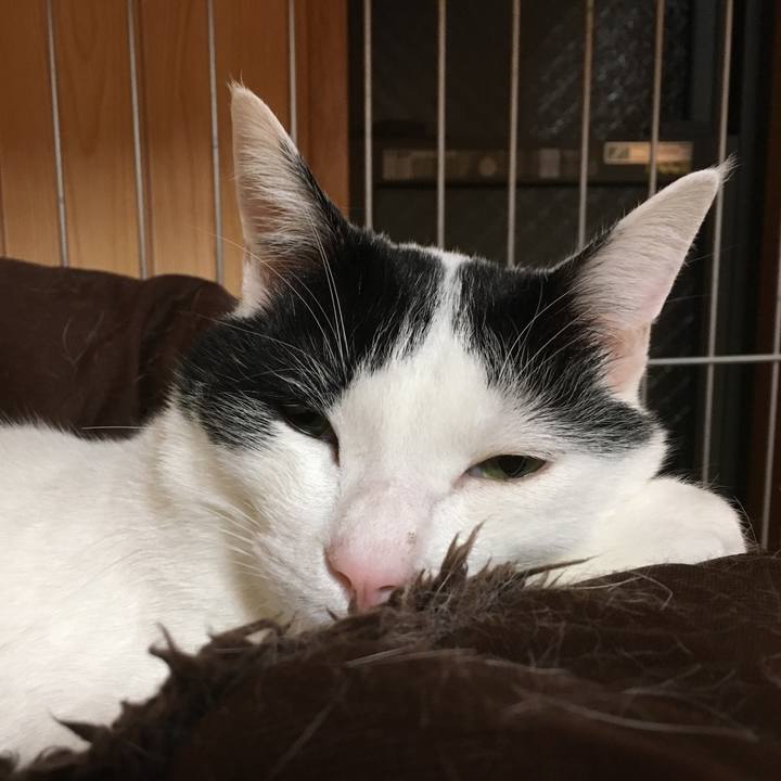 A5c5b518 582a 4690 bd99 972281166425