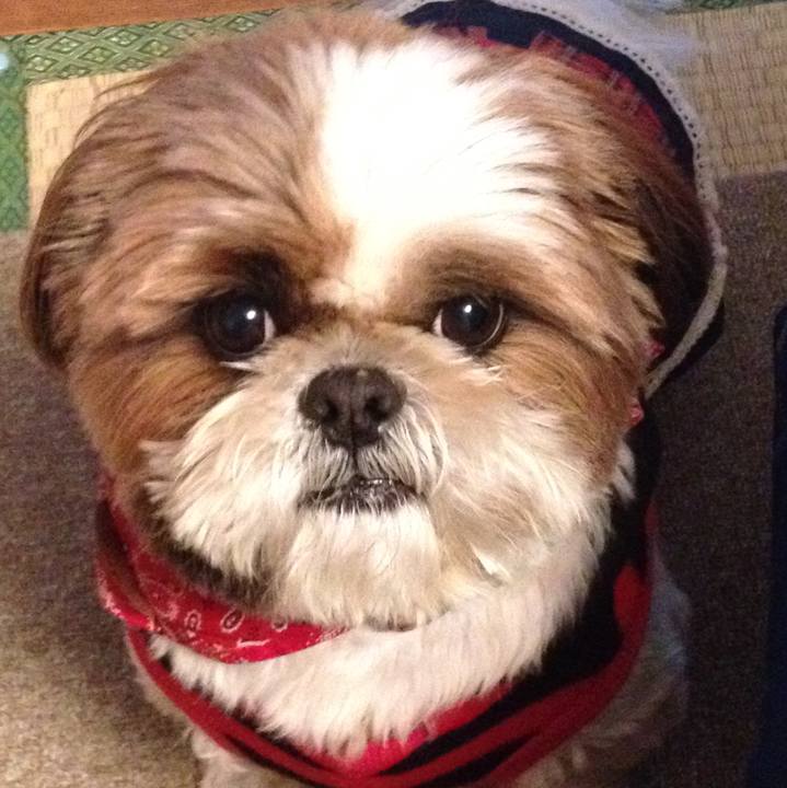 A5c5b5c3 be65 4e8a b0f4 a2a91febb164