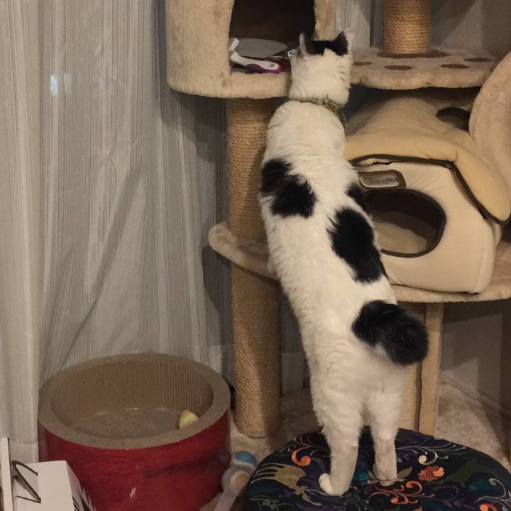 A5c5f188 286c 4139 b22d f258f24e3d8b