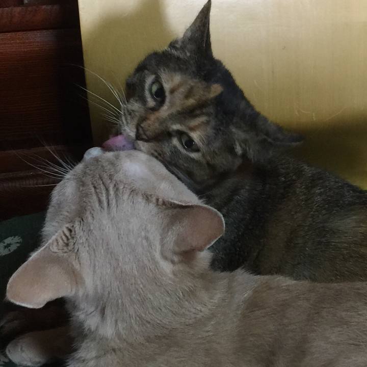 A5c6a87b 1197 4bf0 8d45 228d874cf303