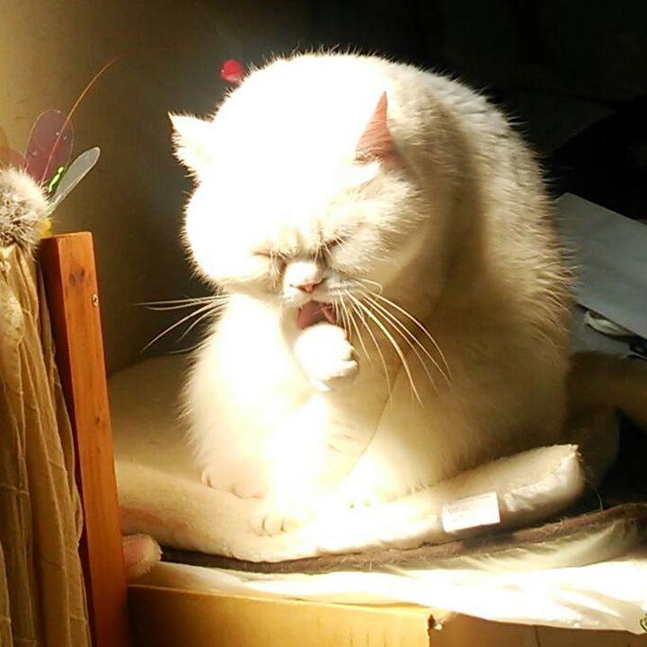 A5c6c5b5 4dd0 4df7 ab5d 3a9b4d31bf9b