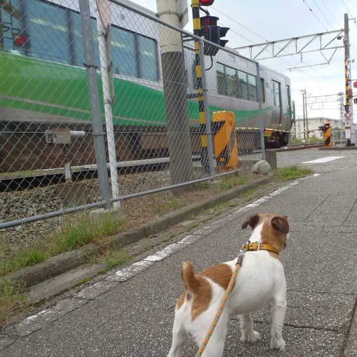 A5c6db85 174a 4705 af29 00c74013a30f