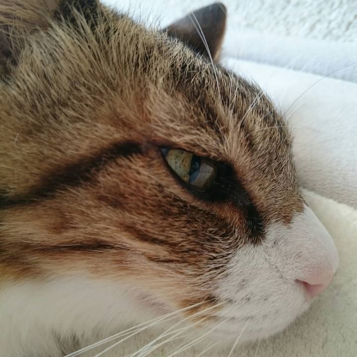 A5c75c93 c207 4b53 937b d8e51fe21bf5