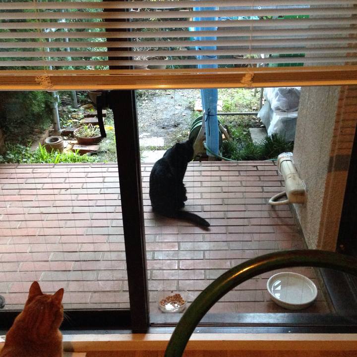 A5c79d3d a14b 4dfa b256 208bcc2100f7