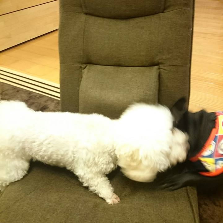 A5c822a3 00cb 4585 b4b4 c098b562eb5f