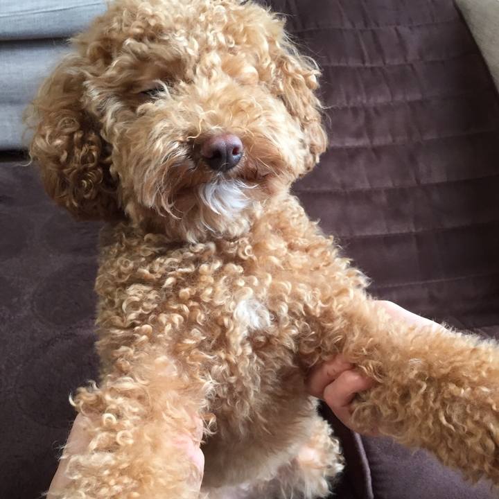 A5c82dc7 37b4 4861 a063 41c5a193e31f