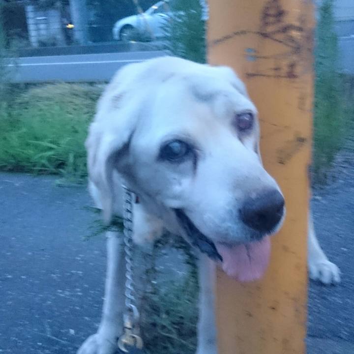 A5c89f5b 3fbe 43cb a245 02897fb22d89