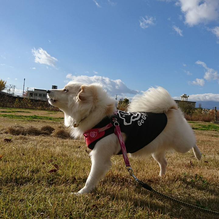 A5c8ff7d 061e 416b ac02 dbafcd6eeb80