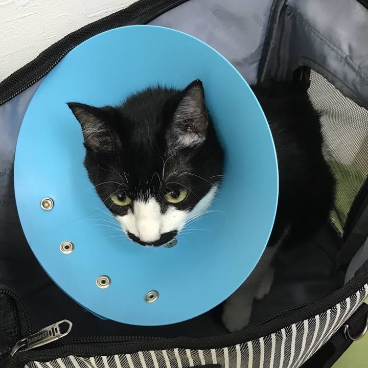 A5c90f38 53df 4165 bc8f 141748da0ad7