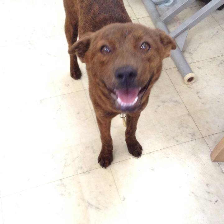 A5c91d4f ae22 4d5c b0d2 37b1f5bf55b4