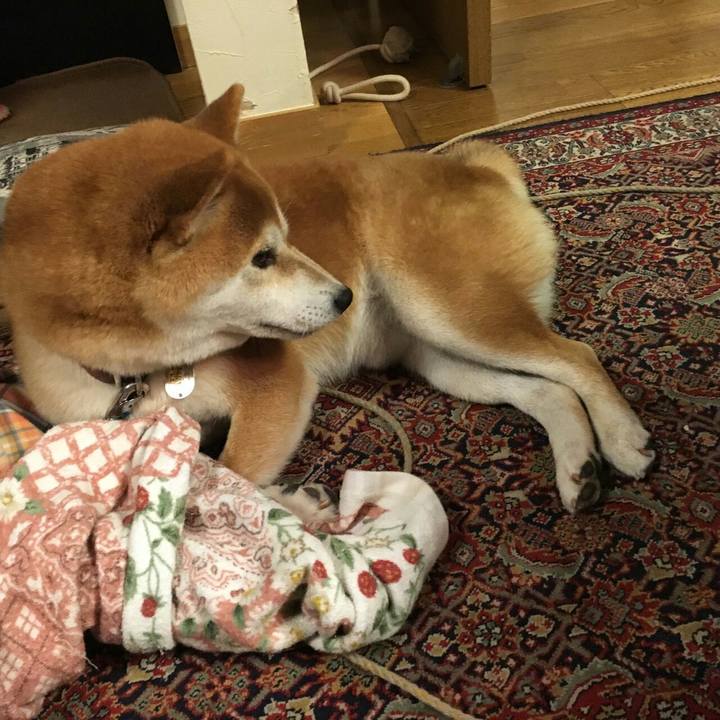 A5c98c7e 0784 4041 860c 66fccc4810f6