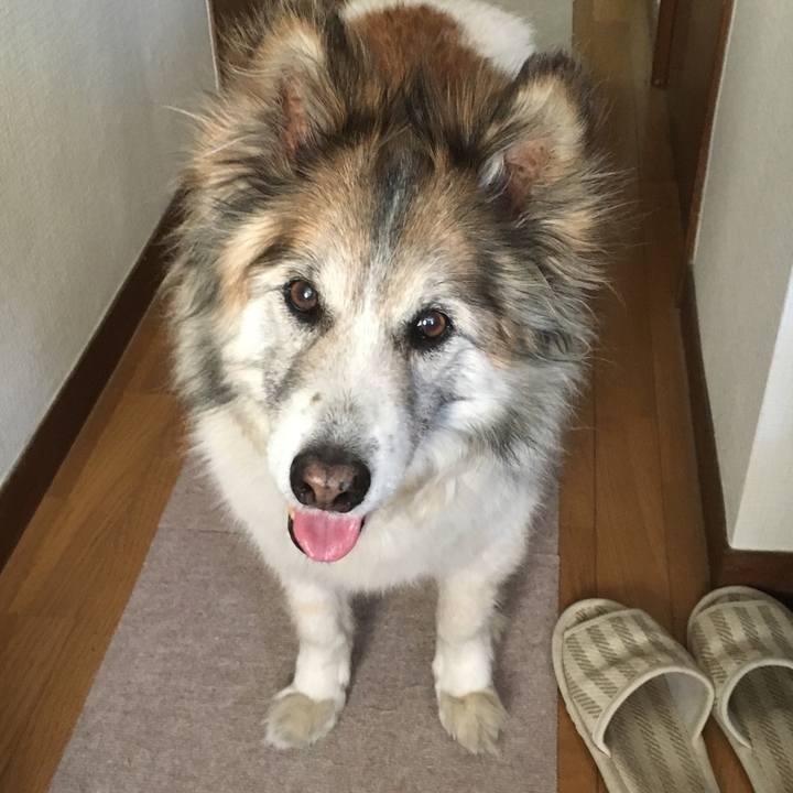 A5cb580a c455 4dc9 b440 34a5b41f6176