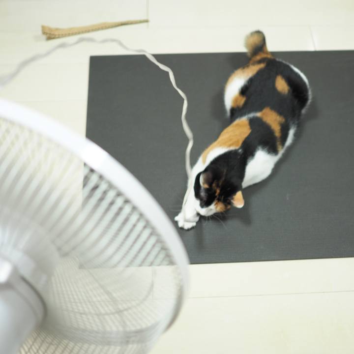 A5cb73c2 f318 4d98 8440 f0a7bb3cfb9a