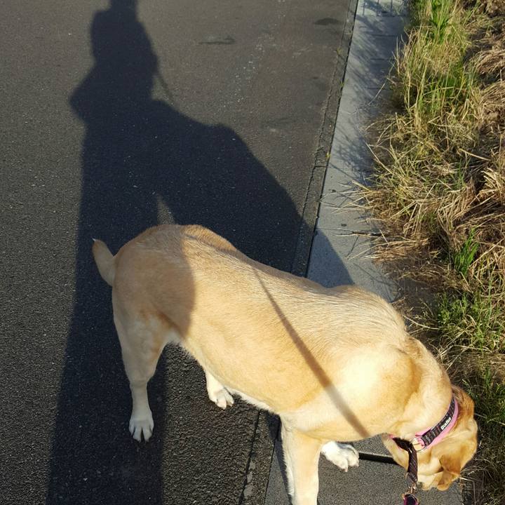 A5cbe30b 1a80 4a86 99fd 5f57f06af194