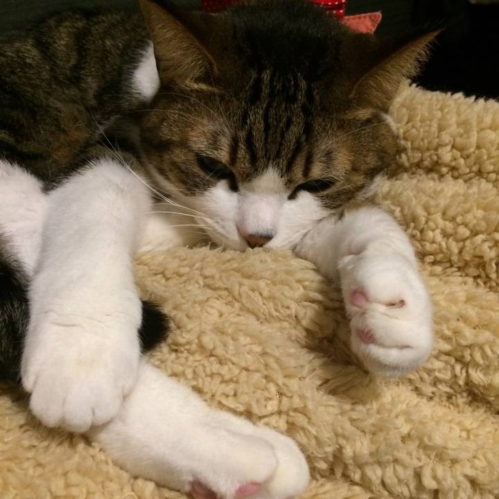 A5cc25f8 f28f 4b49 9e0a 051c111bf357