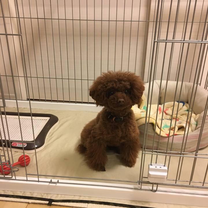 A5cca0e2 0acf 43c1 867c 94952007b6ad