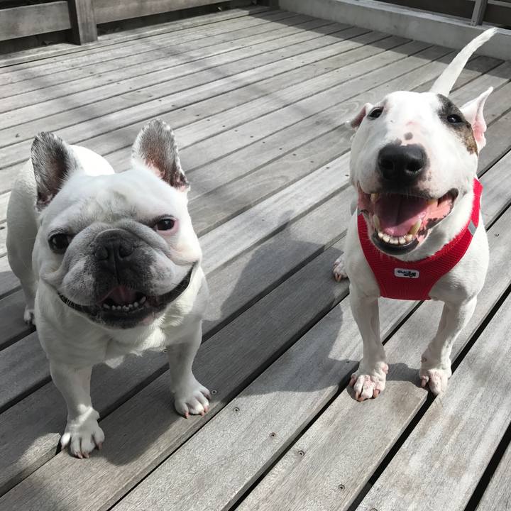 A5ccb558 f76c 4506 bbe7 058cb37a3e7f