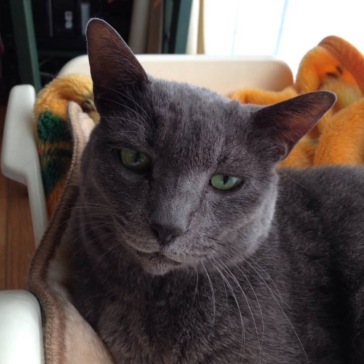 A5cd35dd 4d41 4ee7 9ad8 de248fb5bd95