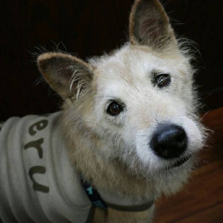 A5cdb757 6c3a 4e2f ad2c c7a8d9c9c3c3