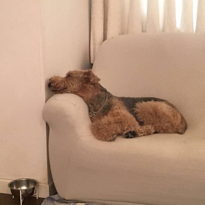 A5cdeb01 14bc 47ed b344 55936bcac289