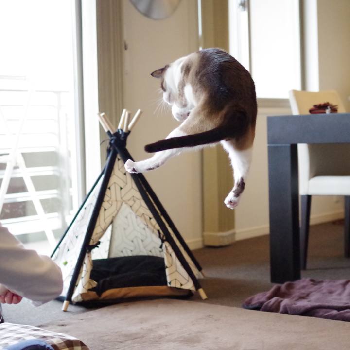 A5ce205f ae4d 4a99 8073 384249ec54da