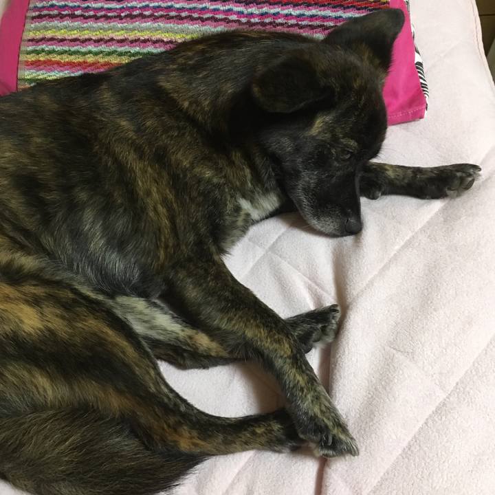 A5ceb2a2 b4ff 49ab 9e93 7684a47db39a