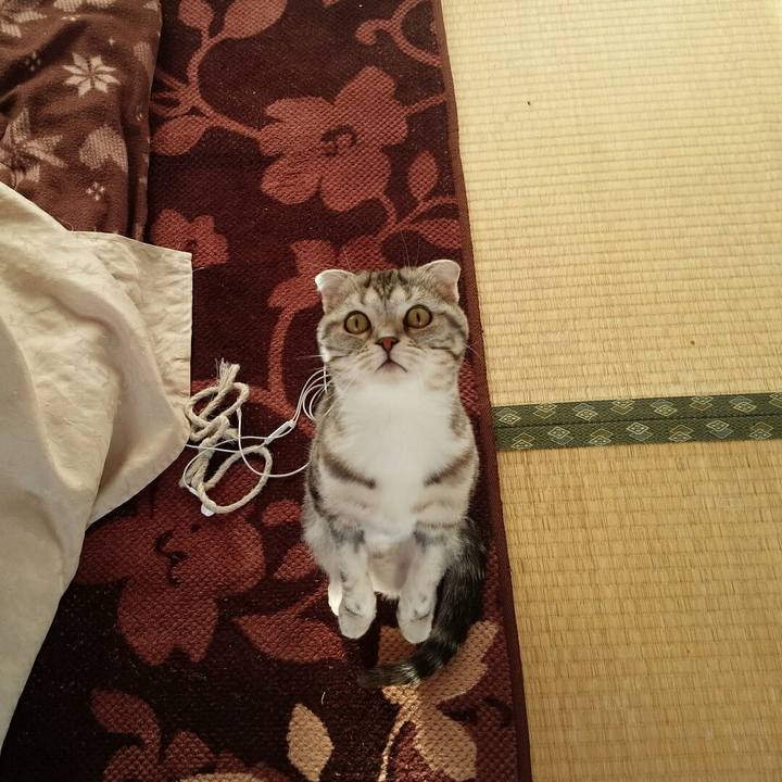 A5cf3e7e 5fe1 4d9a 8188 7810aed7d088