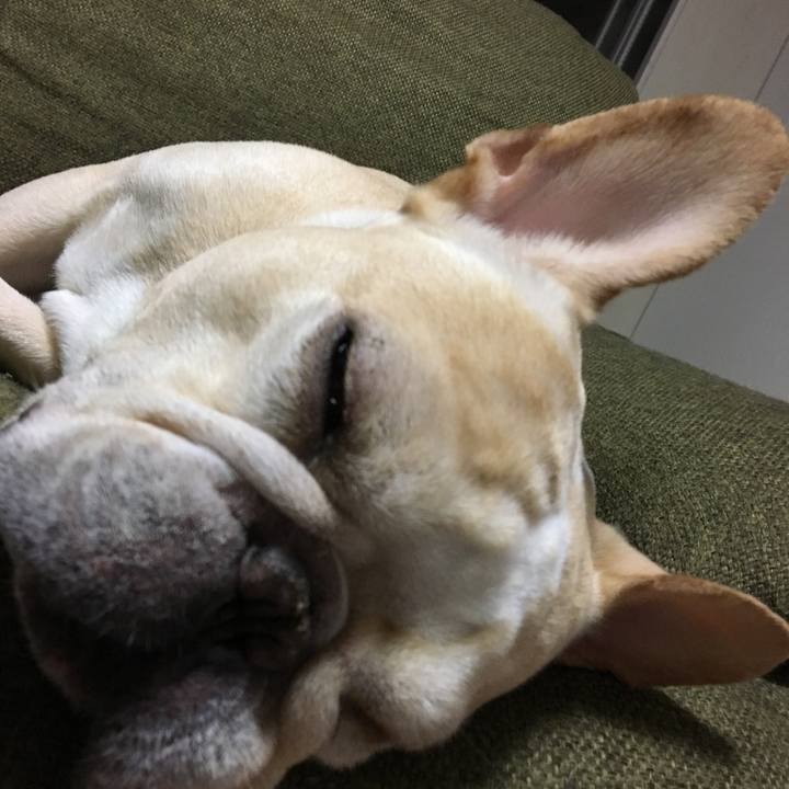 A5cfd46c 8882 4b7e b667 70337b079cbb