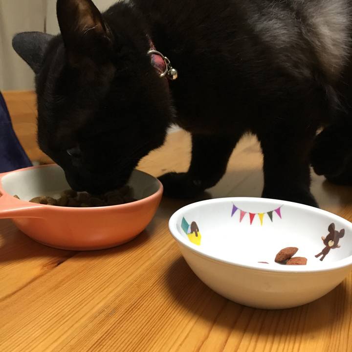 A5d03337 1d93 4651 a209 5aa34e872a01