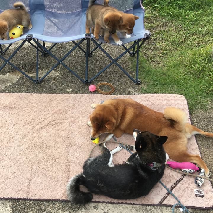 A5d0b860 d15c 4511 a897 2916546d4cca