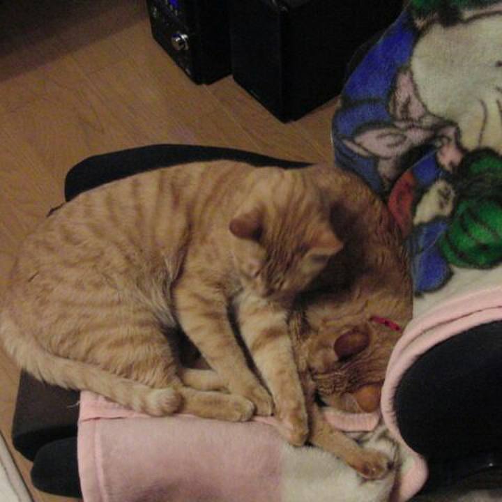 A5d0bd9e f80c 46f2 a346 da4dc07420a9