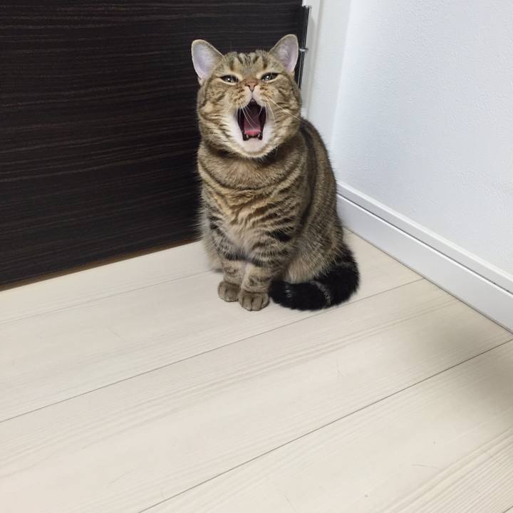 A5d0dc4f af47 413e bab8 8e84fa9e1233