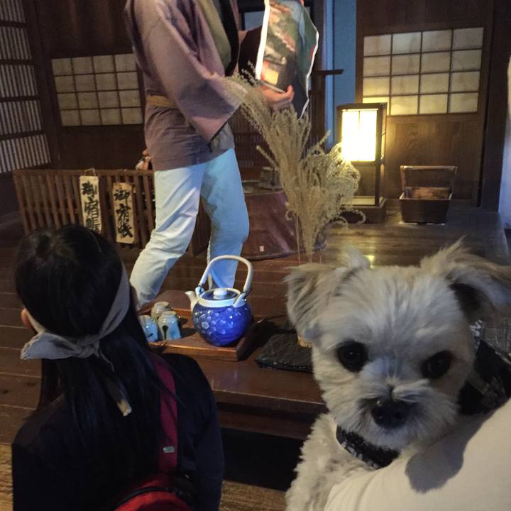 A5d12cb2 4b39 4a67 9778 e517e87860ea