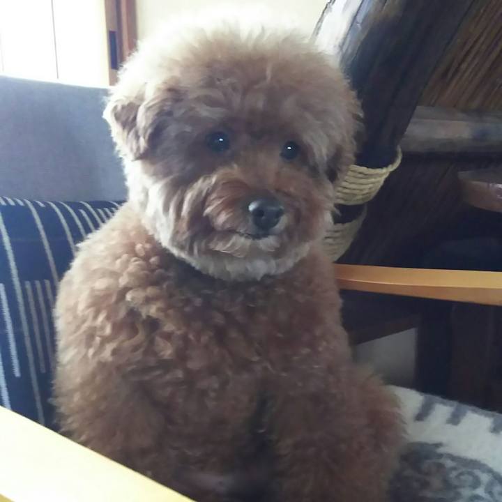 A5d15459 c657 4395 b8ff 15be5f6d14c5