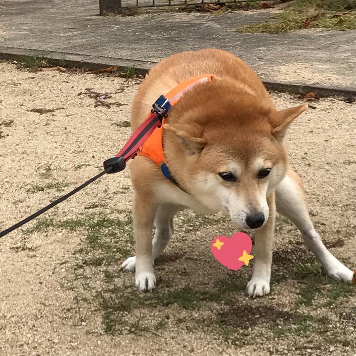 A5d201a2 3c58 4460 b3c9 69c7688e5592