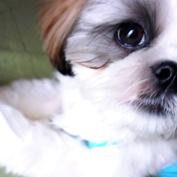 A5d2a34a 1596 4e60 b21e 4a297a72ae3e