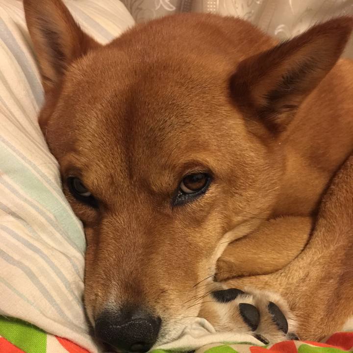 A5d2fce7 e903 4554 85b1 0cd85596dec8