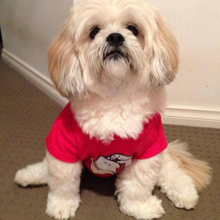 A5d305ca 75e2 49b1 9b9c 152d512926b8