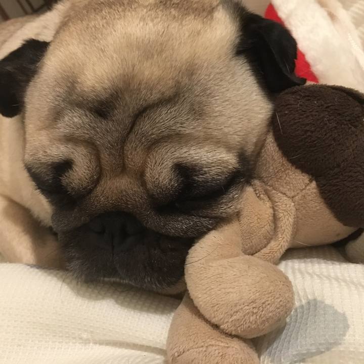 A5d35df5 c5c2 49d9 96ac b492e6ccd855