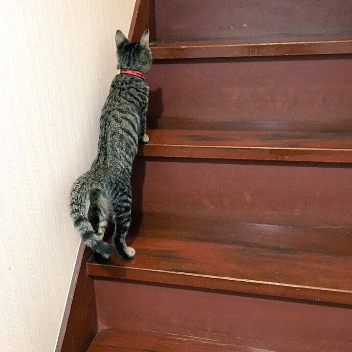 A5d3dfd8 021f 4df4 a796 e6e03cf6b91e