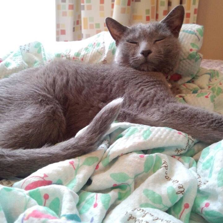 A5d3face 0e22 424d ba8f 8efe9111dea1