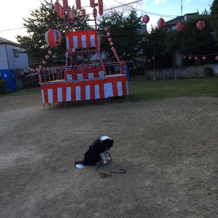 A5d4abe5 1769 428b 92fb 2d830872ee1c