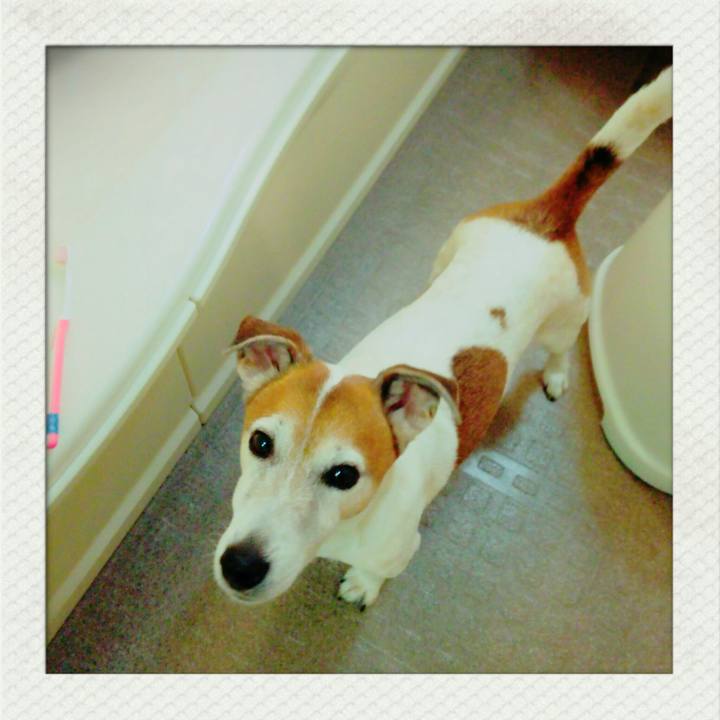 A5d64321 6db7 404f b875 16b6124775d5