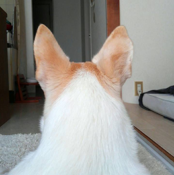 A5d725b4 4a49 422f 8221 a90bc11e9f71