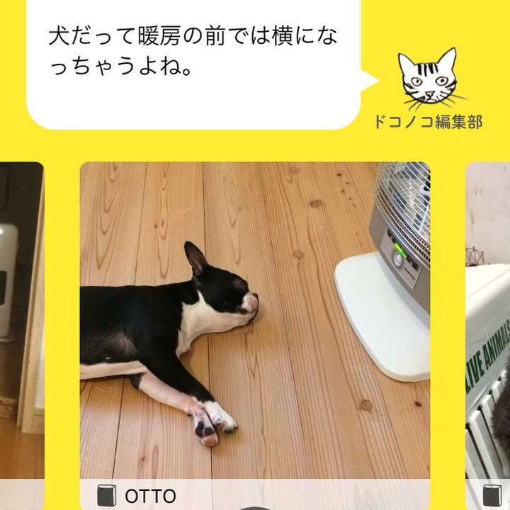 A5d7303f 020f 4c5b 81b9 af7a32240218