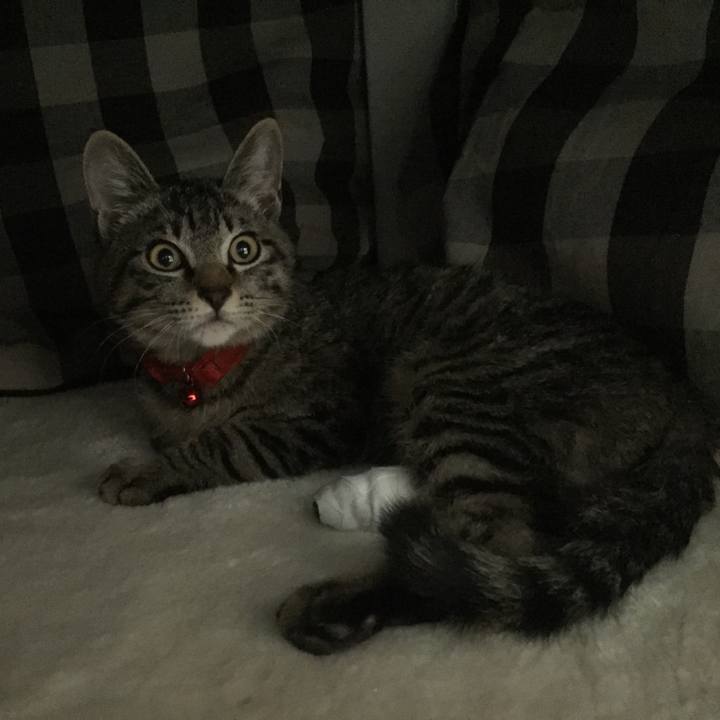 A5d7307d 1a35 4696 9842 b5de7cfbb955