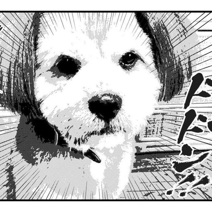 A5d736d9 b044 465a 82e3 5fddc1e231b7