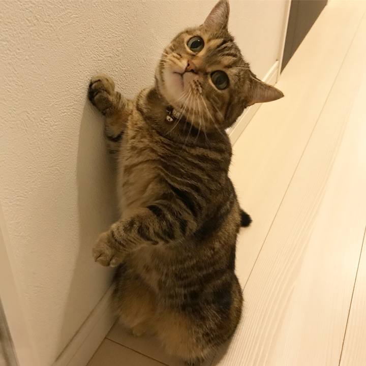 A5d73d9a 833c 4865 b4bd cd4e07b23e93