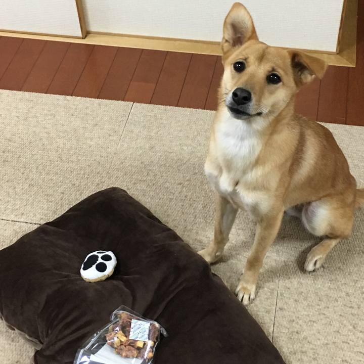 A5d7fe93 00cc 4e9b 89e0 c0580d6f328e