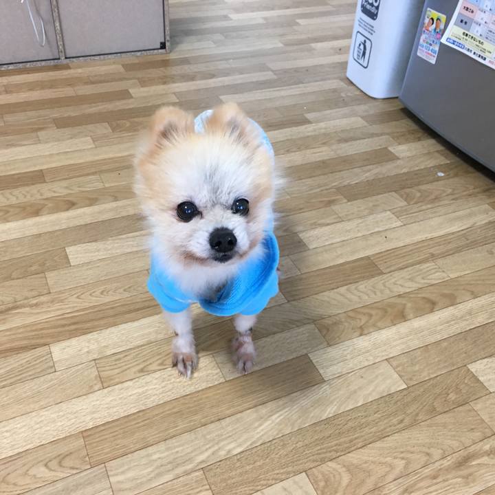 A5d89e15 ea0d 4b78 98f5 56c8c95e2621